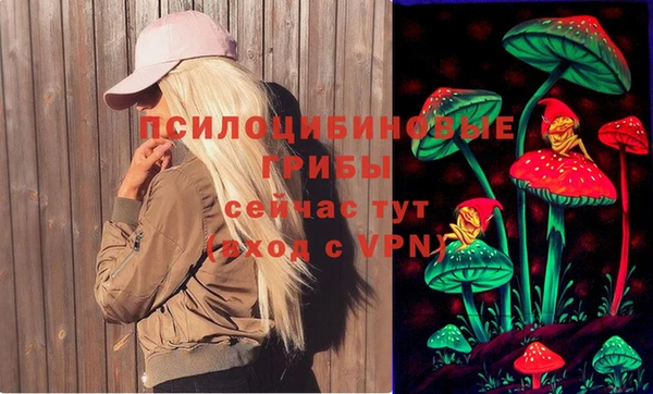 прущие грибы Воткинск