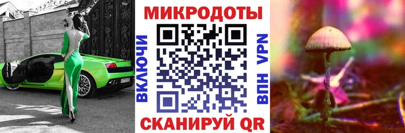 Псилоцибиновые грибы MAGIC MUSHROOMS Шахунья
