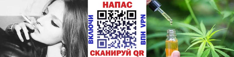 где найти   Шахунья  Конопля тримм 